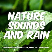 Rain and Water: Relaxing Rain on Roof - Nature Sounds and Rain