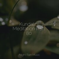 Playful Stream - Soothing Music Academy & Meditation & Stress Relief Therapy & Sleepy Night Music