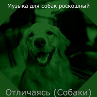 Созерцая (Щенки) - Музыка для собак роскошный