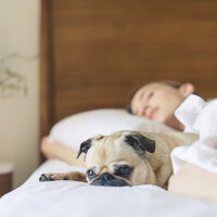 Warmth of the Sun - Asian Zen: Spa Music Meditation & Monarch Baby Lullaby Institute & The Sleep Helpers