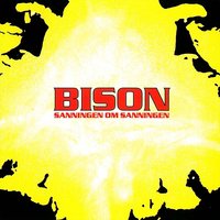 Mammut - Bison