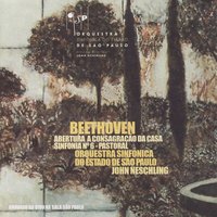 Symphony No. 6 in F Major, "Pastoral", Op. 68: V. Shepard's song. Happy and thankful feelings after the storm - Allegretto - Ludwig van Beethoven & Orquestra Sinfônica Do Estado De São Paulo & John Neschling