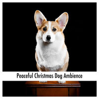 Tranquil Relaxation Doggy Sleep - Relaxing Dog Music