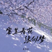 雾里看花缘似梦 - 黑豆Ado