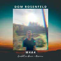 Could've Been - Dom Rosenfeld