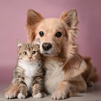 Paisajes Sonoros Tranquilos Para Mascotas - Sonidos de la naturaleza con música & Ayudante para animales & Melodía especial para criaturas
