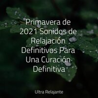 Gotitas De Maravilla - Sonidos de la Naturaleza Relajacion & Musica Relajante New Age Culture & Meditação Zen