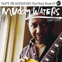 Rollin' Stone - Muddy Waters