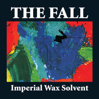 Pacifying Joint - The Fall
