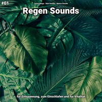 Regen Sounds, pt. 57 - Larina Mergs & Rain Sounds & Nature Sounds