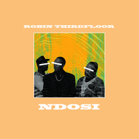 Ndosi - Robin Thirdfloor