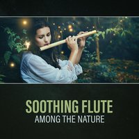 Anahata - Inspiring Tranquil Sounds