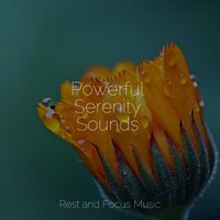 Between Two Worlds - Binaural Beats Brain Waves Isochronic Tones Brainwave Entrainment & Lullaby Babies & Shakuhachi Sakano