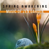 Music Therapy – Oriental Flute & Birds - Hypnosis Nature Sounds Universe