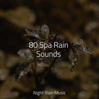 Rain on Foliage - Calm shores & Sleepy Night Music & Meditation & Stress Relief Therapy