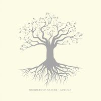 The Ballad of Fallen Leaves - Wonders Of Nature