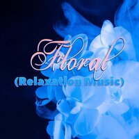 Death - Música para Leer & Easy Listening Background Music & Música Instrumental Maestro