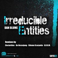 Irreducible Entities - Dan Blume