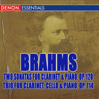 Sonata No. 1 in F Minor, Op. 120, No. 1: III. Allegretto grazioso - Jurgen Demmler & Peter Grabinger & Иоганнес Брамс
