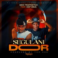 Door - Siko & Dsp Dims