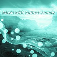 Harmony - Sounds of Nature White Noise for Mindfulness