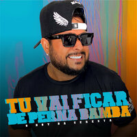 Tu Vai Ficar de Perna Bamba - O Boy da Seresta