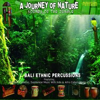 A Walk in the Rainforest - Dore