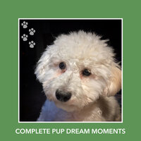 Golden Pup Anti Anxiety Ambience - Puppy Relaxation
