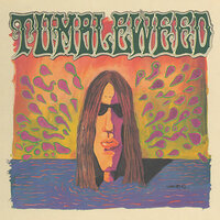 The Sky Is High - Tumbleweed & Richard Lewis & Jay Curley & Paul Hausmeister & Lenny Curley & Stephen Obrien