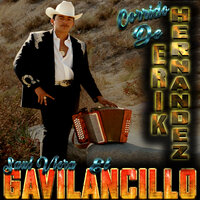 Entre Cortinas Blancas - Saul Viera El Gavilancillo