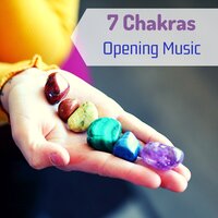 One Body, Seven Chakras - Addison Morgan