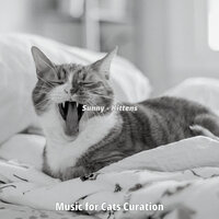 Subtle (Music) - Music for Cats Curation