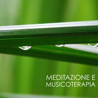 Riflessi - Scuola di Musica Relax