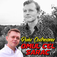 Au venit fratii acasa - Puiu Codreanu