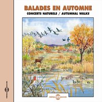 Un Bon Feu De Bois - Frémeaux Nature & Un Bon Feu De Bois & A Good Blaze