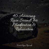 Rain, Storm and Thunder - Nature Noise & Mindfulness Mediation World & Sound Sleeping