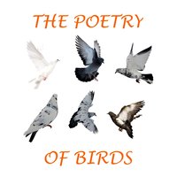 Anonymous - The Twa Corbies - Ballad - Alan Cumming