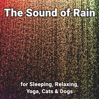 Rain Sounds to Fall Asleep - Nature Sounds & Rain Sounds & Regengeräusche