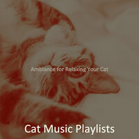 Funky Solo Piano Jazz - Vibe for Cats - Cat Music Playlists