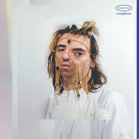 Mon amore - Capibara