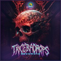 Terror 404 - Triceradrops