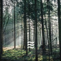 Smooth Noisy Brown Tones and Nature for sleep - Brown Sound and Birds Noisy Tones