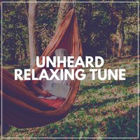 Experience of a Lifetime - Background Music Experience
