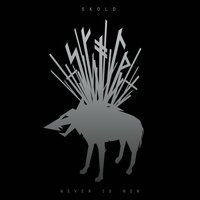 This Is What You Get - Skold