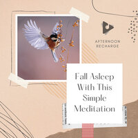 Ambient Nature Sounds Music - Afternoon Recharge & Deep Sleep Meditation & Japanese Relaxation and Meditation