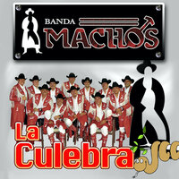 El Corrido Del Gringo - Banda Machos