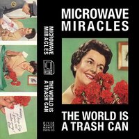 Cicada Killer - Microwave Miracles