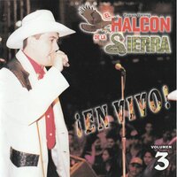 Te Ando Siguiendo Los Pasos - El Halcon De La Sierra