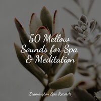 Massage Therapy - Música Zen Relaxante & Guided Meditation Music Zone & Yoga Rain