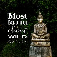 Happy Around, Stilness - Garden of Zen Music